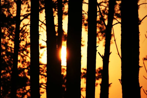 Bela Vista Céu Por Sol — Fotografia de Stock