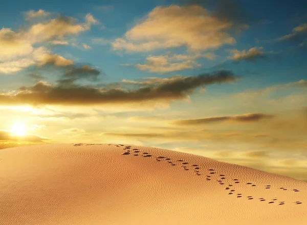 Sandy Desert Dune Landscape — Stock Photo, Image