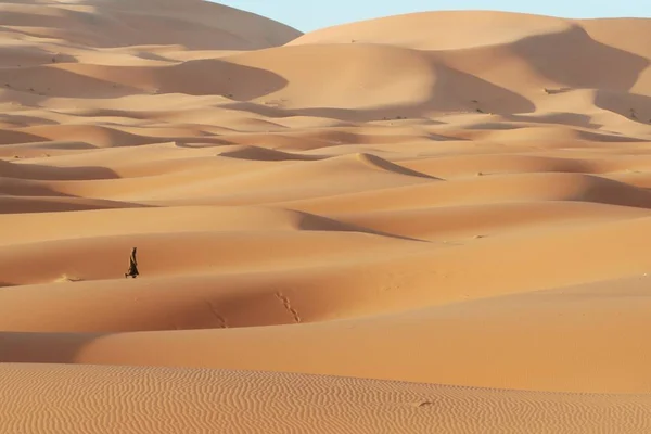 Μόνη Της Στην Έρημο Σαντ — Φωτογραφία Αρχείου
