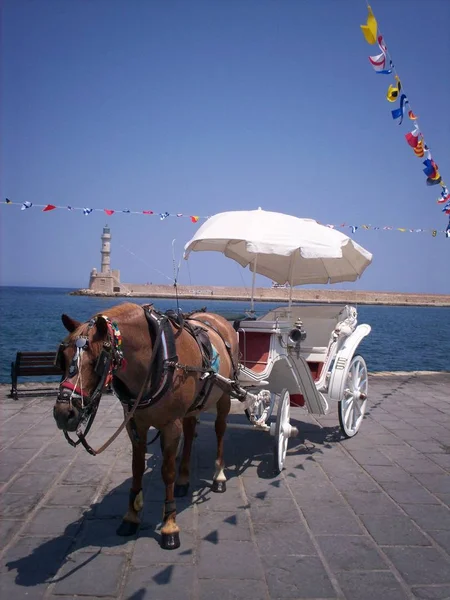 Horse Carriage Sea Royalty Free Stock Images