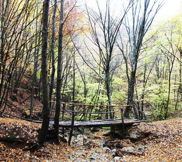 Vista Pitoresca Cena Natureza — Fotografia de Stock