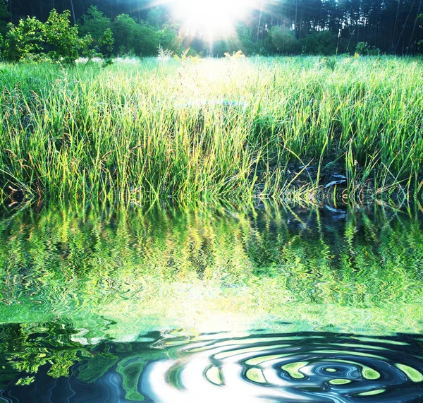 Lindo Lago Verão — Fotografia de Stock