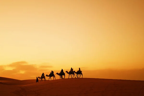 撒哈拉沙漠中的商队 — 图库照片