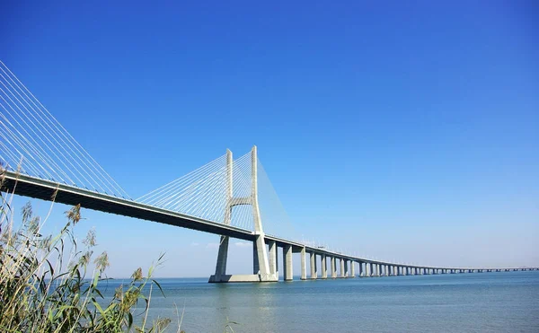 Modern Bridge River Tejo Portugal — Stock Photo, Image