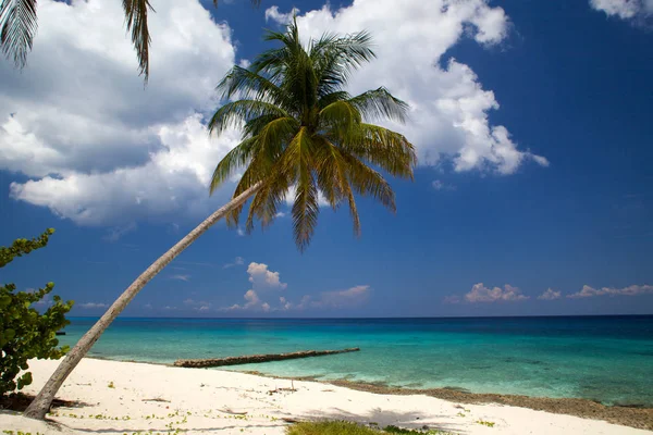 Increíble Vista Playa Tropical — Foto de Stock