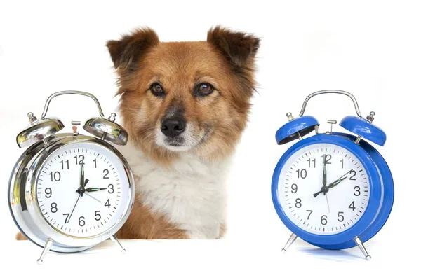 Time Change Sometimes Different — Stock Photo, Image