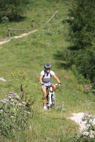 Mountain Bike Nelle Dolomiti — Foto Stock