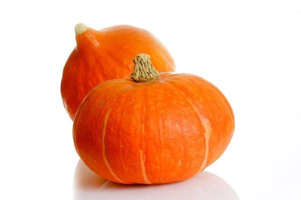 Calabaza Aislada Sobre Fondo Blanco — Foto de Stock