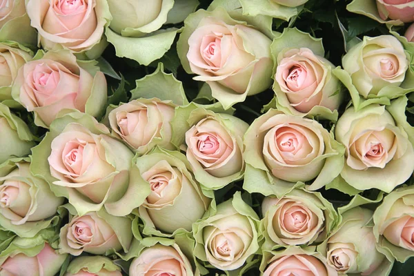 Cama Rosas Para Valentín —  Fotos de Stock