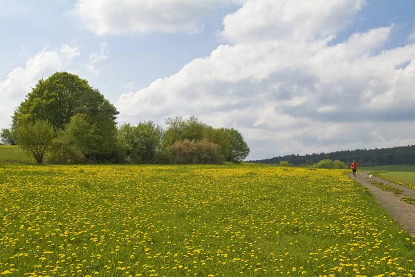 Schöne Aussicht Auf Die Natur — Stockfoto