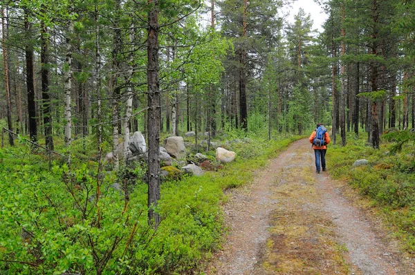 Scandinavia Vista Messa Fuoco Selettiva — Foto Stock