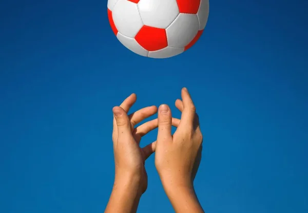 Χέρια Που Πιάνουν Μια Μπάλα — Φωτογραφία Αρχείου