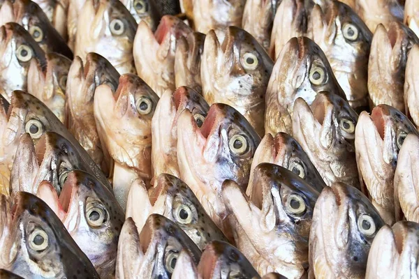 Pescado Fresco Mercado —  Fotos de Stock