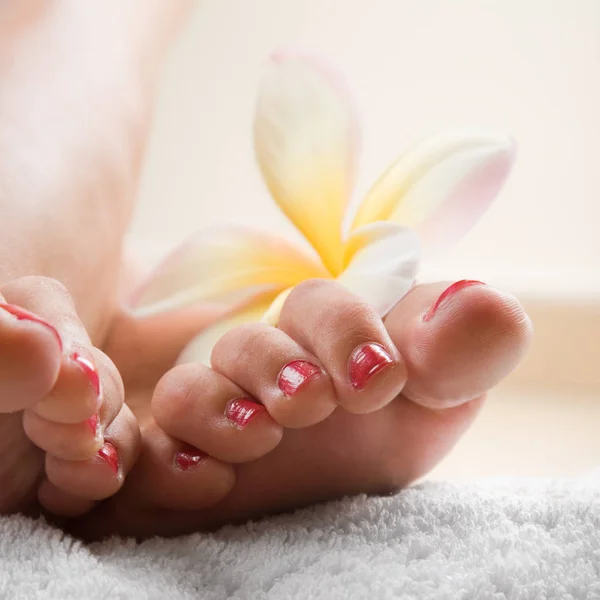 Piękne Nogi Kobiety Różowym Pedicure — Zdjęcie stockowe