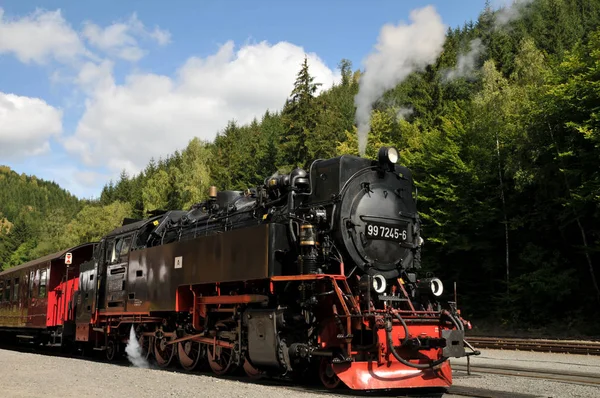 Ferrovia Bitola Estreita Plataforma Harz — Fotografia de Stock