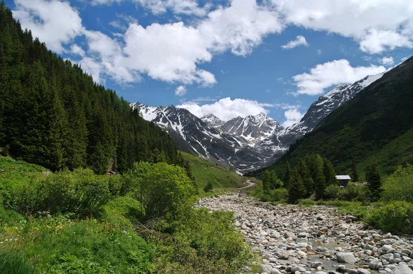 Schilderachtig Uitzicht Prachtig Alpenlandschap — Stockfoto