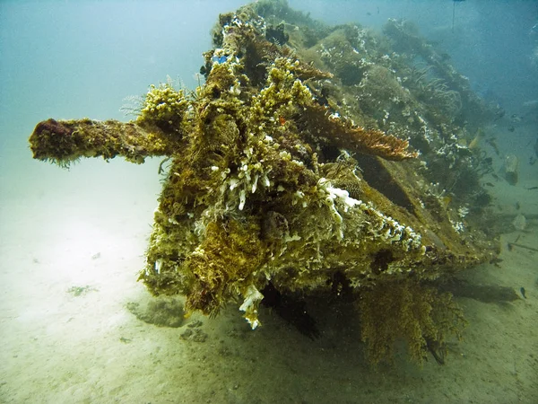 Como Barco Submerso Recife Artificial Baía Sabang Puerto Galera Filhotes — Fotografia de Stock
