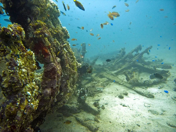 Scenic View Underwater World — Stock Photo, Image