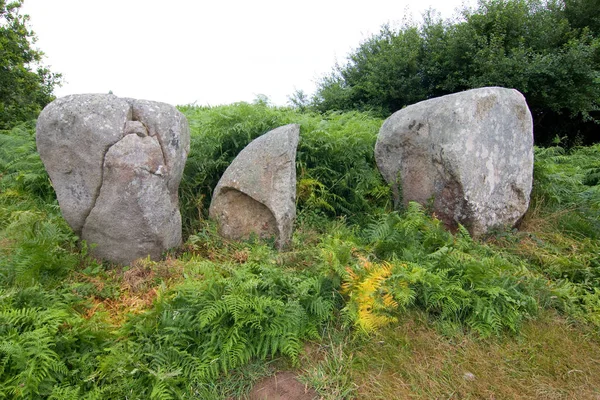 Vacker Utsikt Över Naturen Landskap — Stockfoto