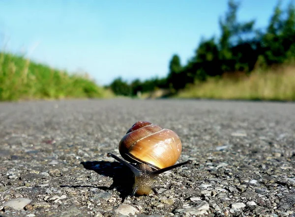 Hoe Ver Het Nog — Stockfoto