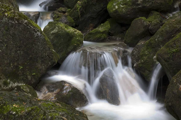 Cascade Dans Nature Forêt Paysage — Photo