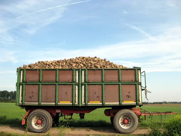 Landschappelijke Visie Landbouw Het Platteland — Stockfoto