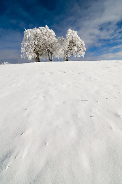 Gyönyörű Kilátás Téli Táj — Stock Fotó