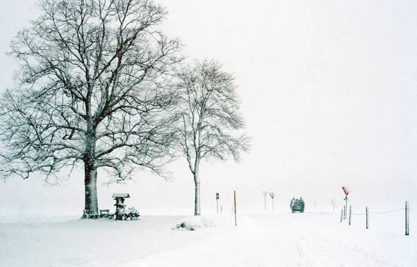 Pintoresca Vista Del Paisaje Invernal Cubierto Nieve —  Fotos de Stock