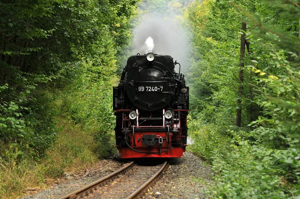 Σιδηροδρομικό Ειδύλλιο Στο Δάσος Harz — Φωτογραφία Αρχείου