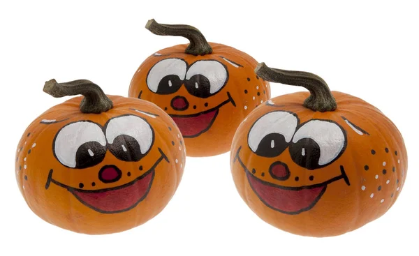 Decorated Pumpkin Halloween — Stock Photo, Image