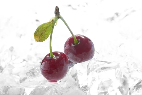 Frozen Cherry Ice Cubes — Stock Photo, Image