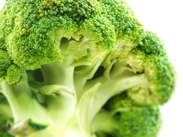 Brokoli Pada Latar Belakang Putih — Stok Foto