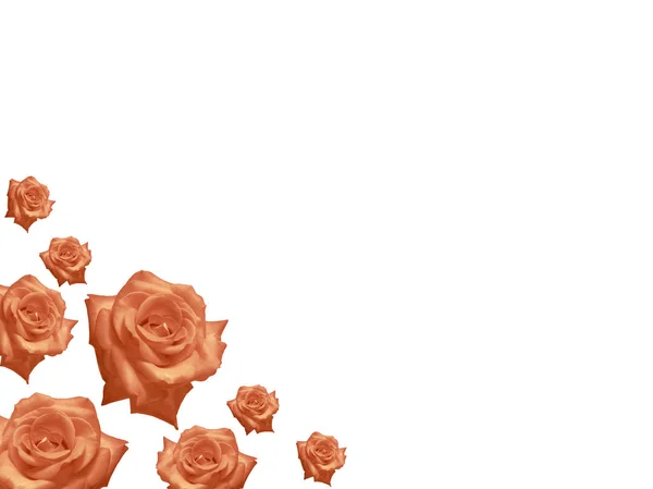 Mães Dia Cartão Rosa Flores Quadro Fundo — Fotografia de Stock