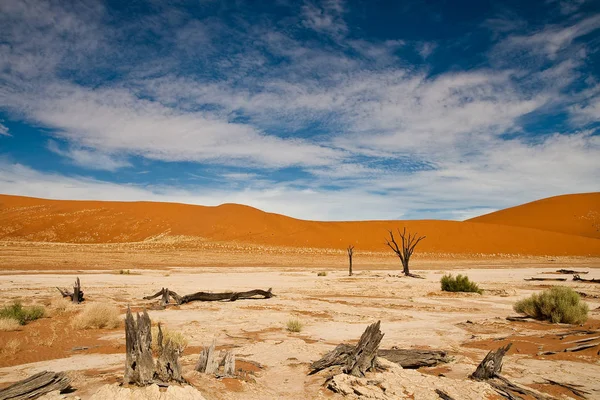 Deserto Arenoso Paisagem Duna — Fotografia de Stock