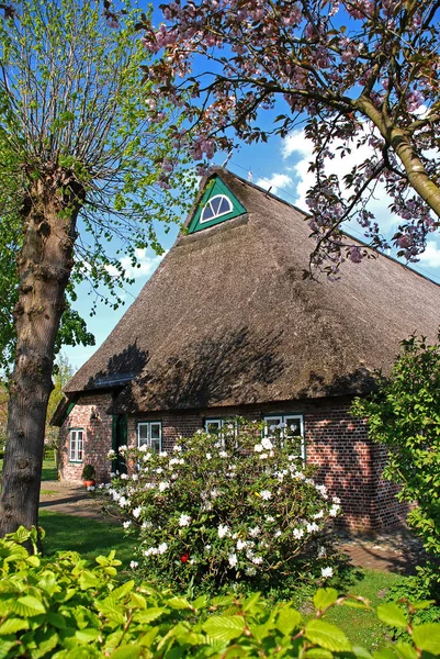 Ferme Schleswig Holstein — Photo