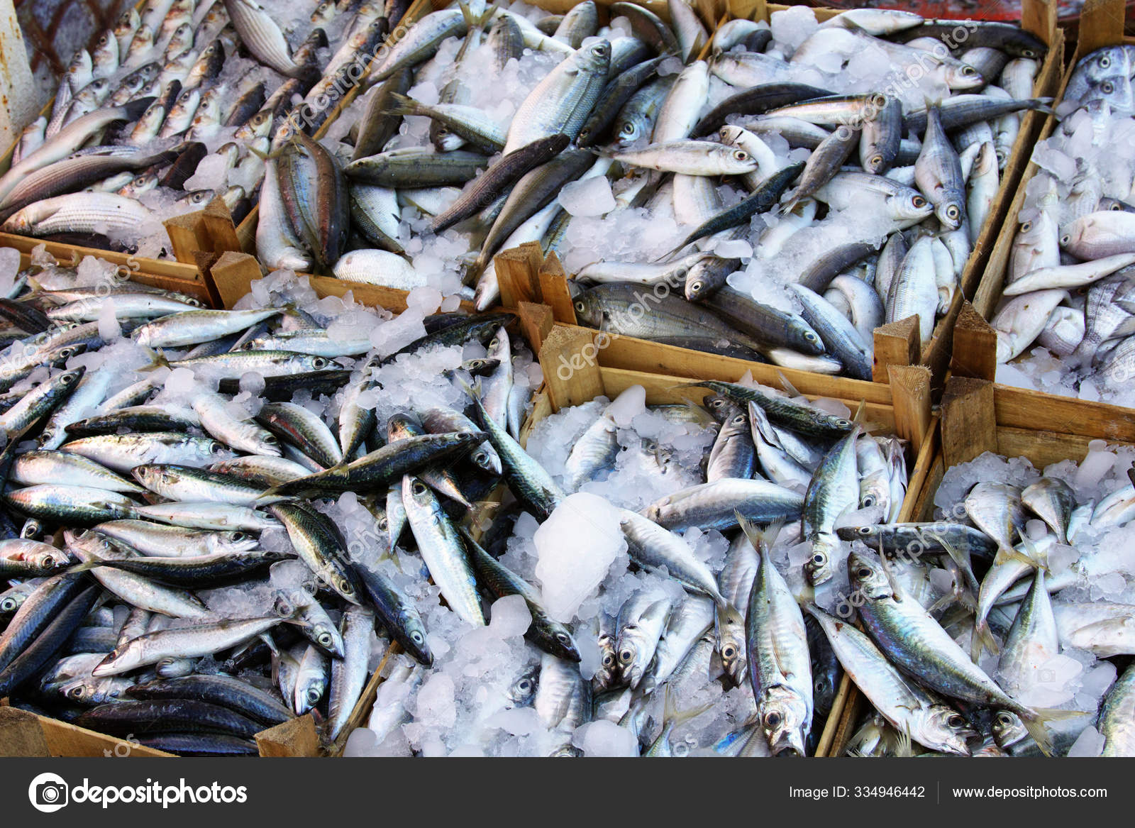 Sea Food Fish Market — Stock Photo © PantherMediaSeller 334946442