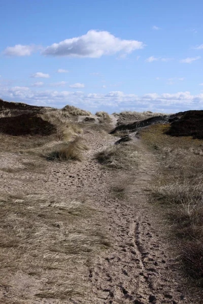 Vue Panoramique Des Dunes Mise Point Sélective — Photo