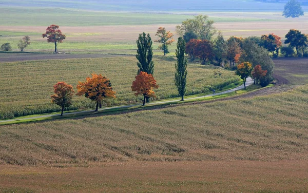 Landschaft Natur Und Landwirtschaft — Stockfoto