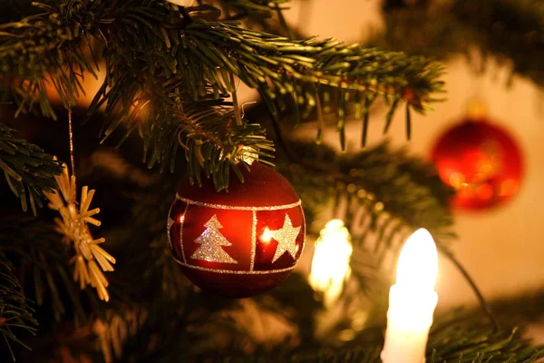 Bola Natal Árvore Natal — Fotografia de Stock