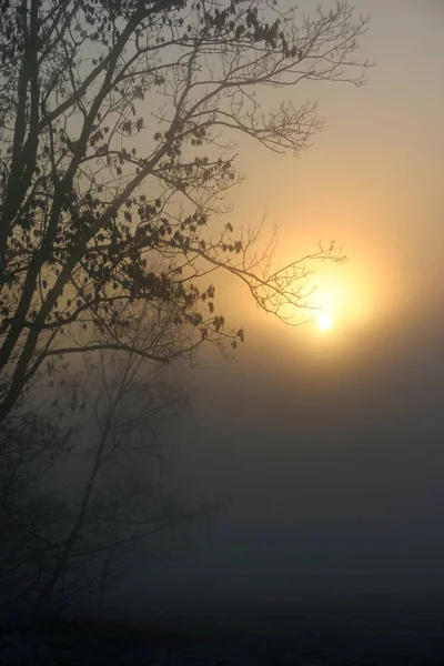 Malerischer Blick Auf Die Natur — Stockfoto