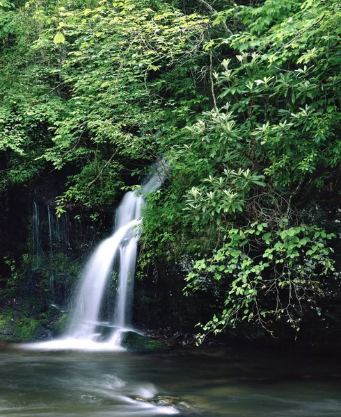 Mooie Waterval Natuur Achtergrond — Stockfoto