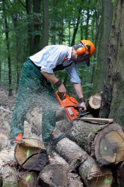 Trabajadores Forestales Con Ropa Protectora — Foto de Stock