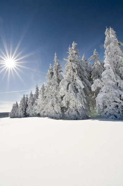 Schöne Aussicht Auf Die Winterlandschaft — Stockfoto