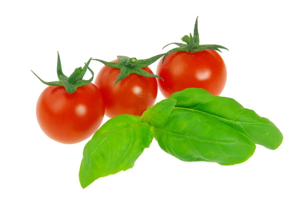 Tomato Basil Tomato Basil — Stock Photo, Image