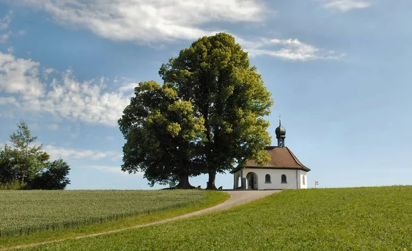 Schilderachtig Uitzicht Prachtige Kapel Gebouw — Stockfoto