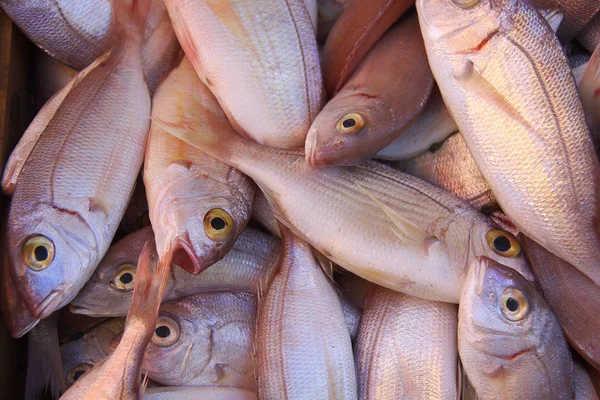 Alimentos Diferentes Foco Seletivo — Fotografia de Stock