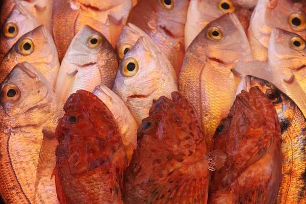 Alimento Mar Mercado Peixes — Fotografia de Stock