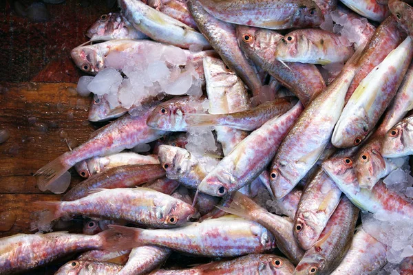 Mariscos Mercado Pescado —  Fotos de Stock