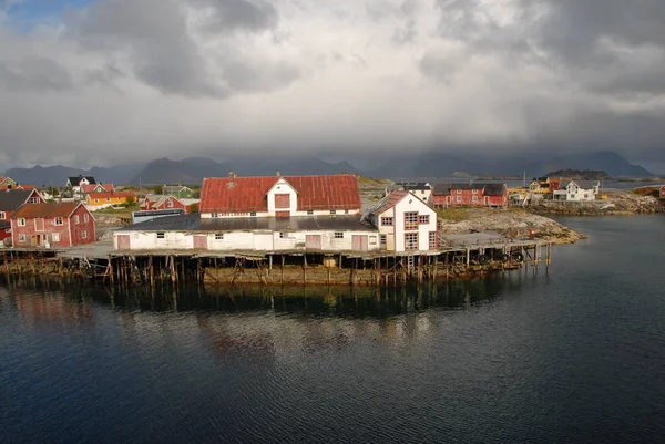 Naturskön Utsikt Över Landsbygden Selektivt Fokus — Stockfoto