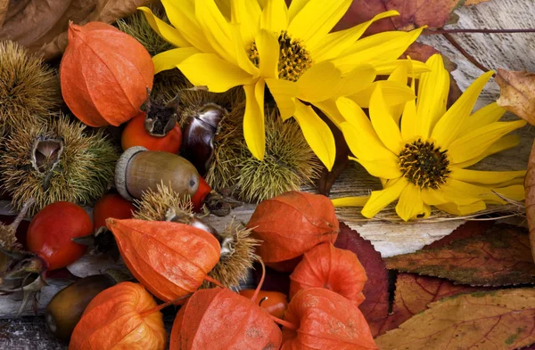 Primer Plano Naturaleza Muerta — Foto de Stock